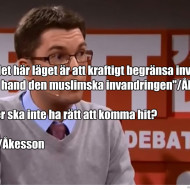Jimmie Åkesson - viktigaste åtgärden är att begränsa den muslimska invandringen